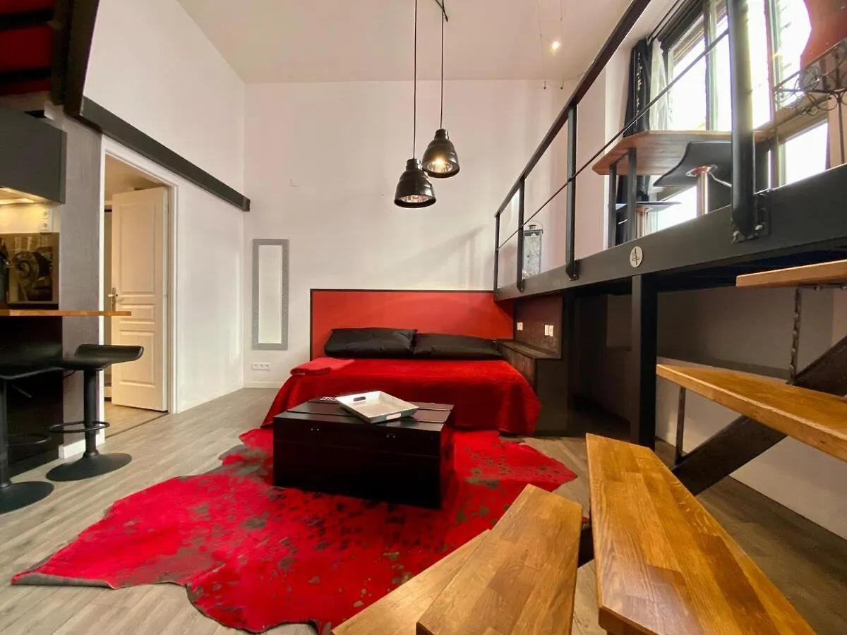 Le Loft Des Charmettes Apartment Lyon France