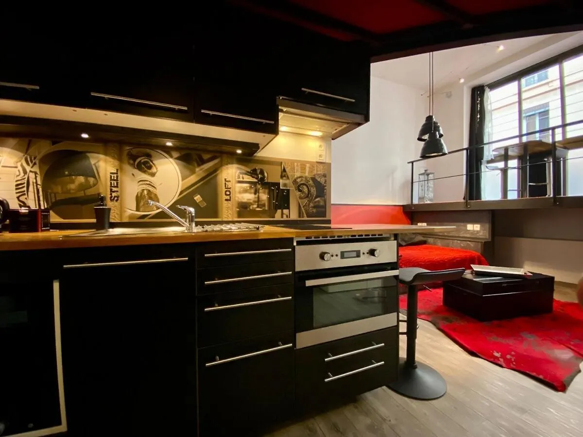 Le Loft Des Charmettes Apartment Lyon 0*,